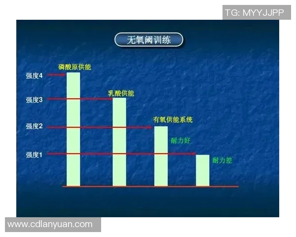 羽毛球赛事裁判判罚标准与公平性分析及其对比赛结果的影响
